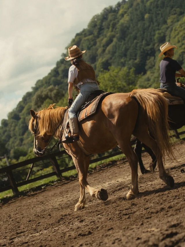 ⭕️ミッチー様774短い秋600大雪の奥飛騨 2023新作】秋冬毛糸 『ダイヤタータン 3410番色』 DIAMOND