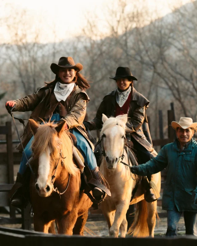 ACCESS – ワイルドムスタングス